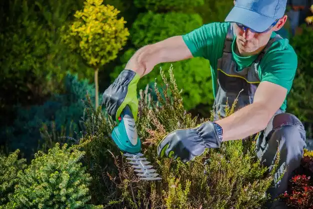 landscaping services Howland Center